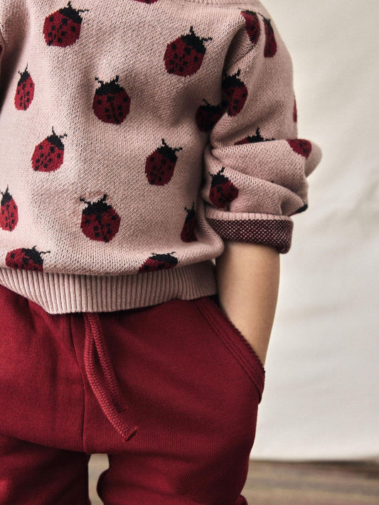 Lil Atelier | Sweater Lulio lieveheerstbeestje